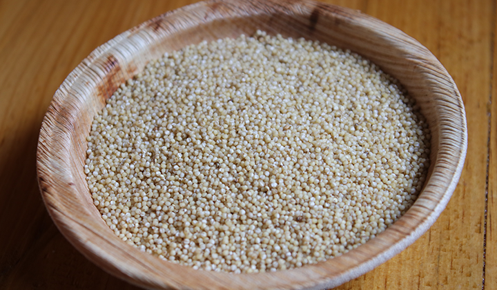 Foxtail Millet
